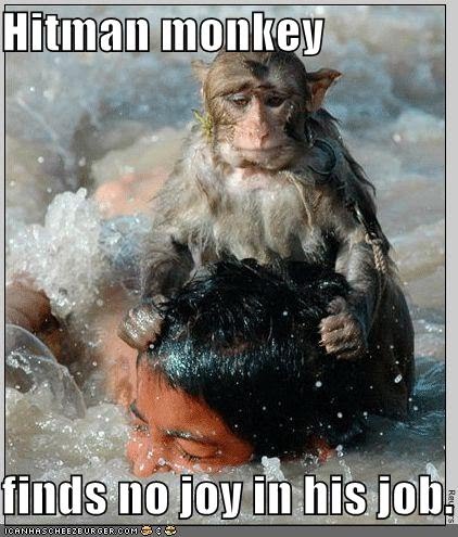 [hitmanmonkey.bmp]