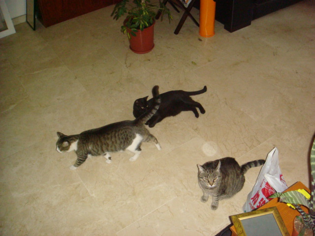 [DSC00894.jpg]