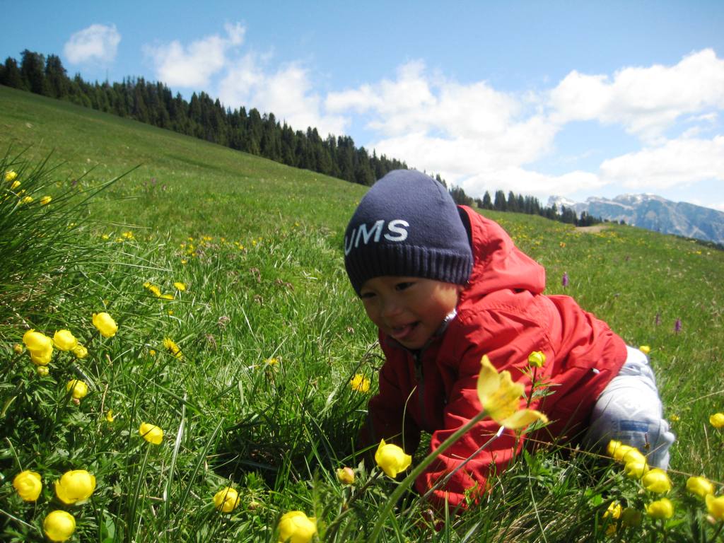 [IMG_2794.JPG]