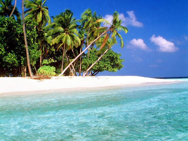 exotic islands - maldives hd