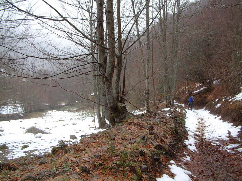 [DSCF0037.JPG]