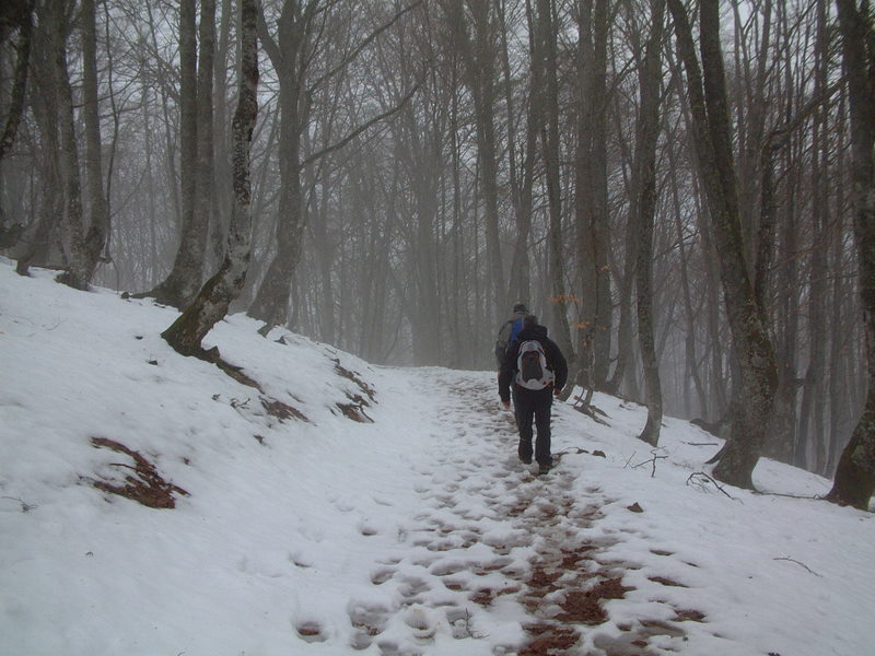 [DSCF0010.JPG]