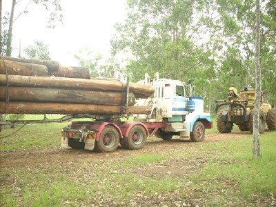 [ext+timber+poles+1.jpg]