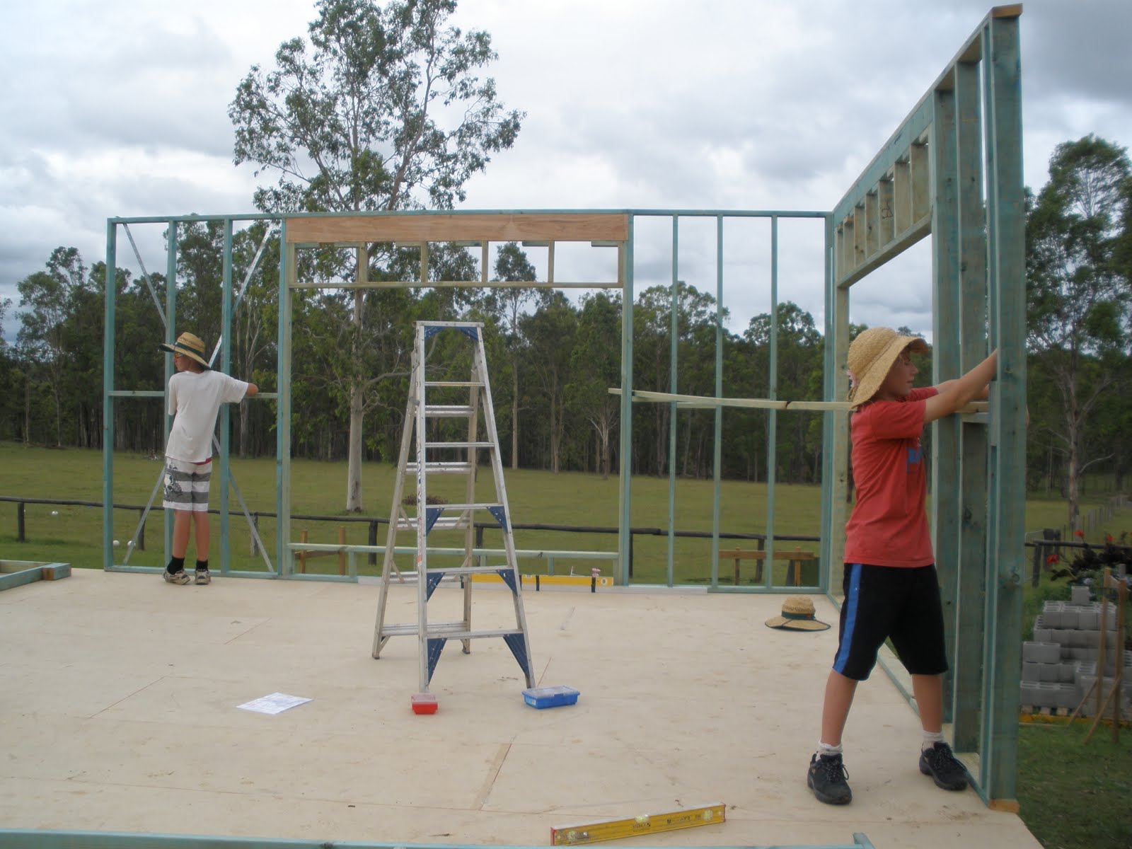 [ext+wall+day+1,+3.jpg]