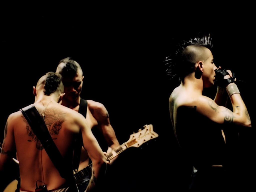 Flea Wallpaper