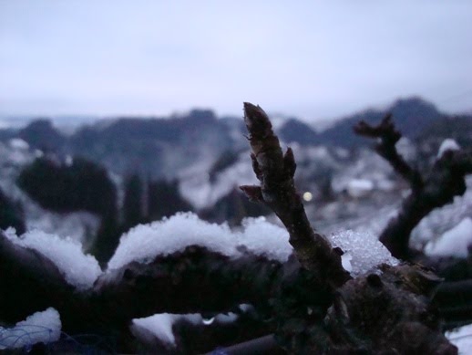 [20100202家のまわりの畑+006.01.jpg]