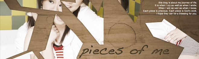 pieces of me