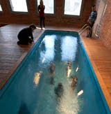 Swimming Pool (2008)