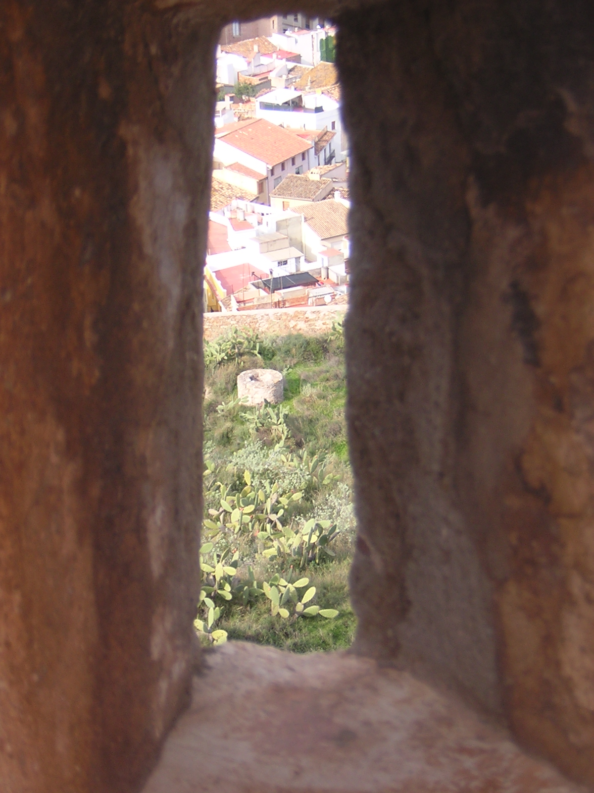 [Rampart+View.JPG]