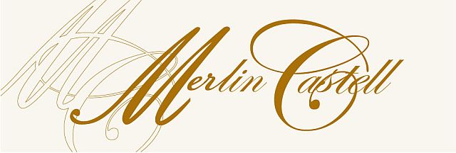 Merlin Castell Blog