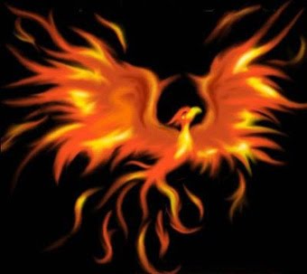 AVE FENIX