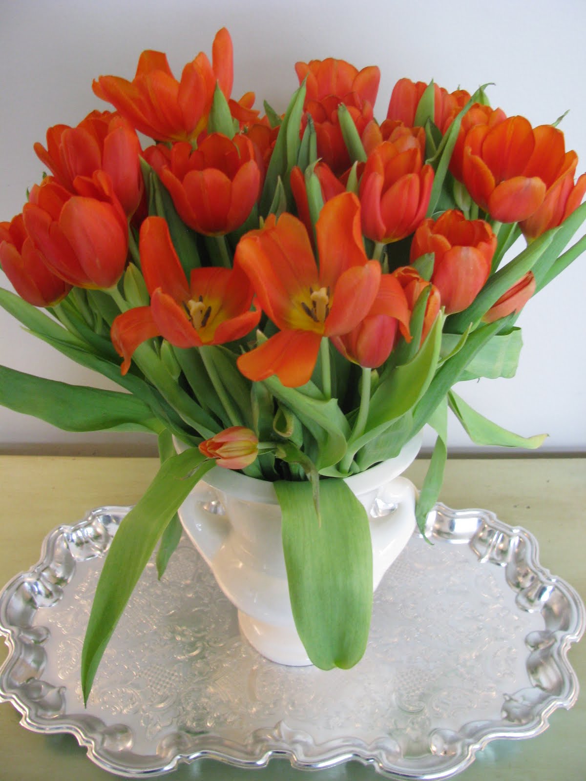 JOYS OF HOME Blooming Bargains