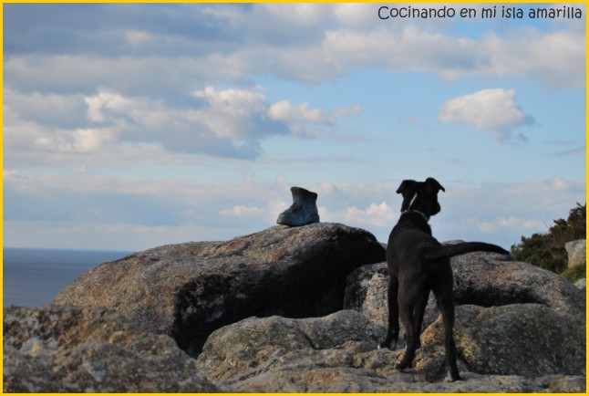 [DSC_0556+[640x480].jpg]