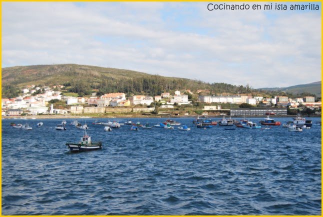 [DSC_0466+[640x480].jpg]