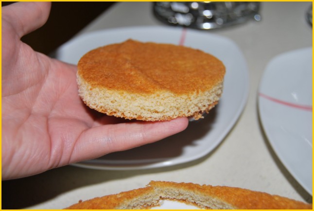 [Tarta+milhojas+de+melocotón+y+nata+002+[640x480].jpg]