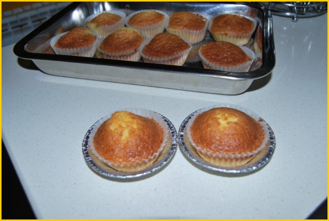 [Magdalenas+glaseadas+025+[640x480].jpg]