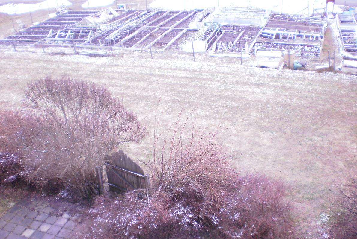 dejta ungerska kvinnor