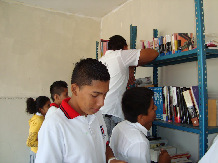 alumnos trabajando en biblioteca