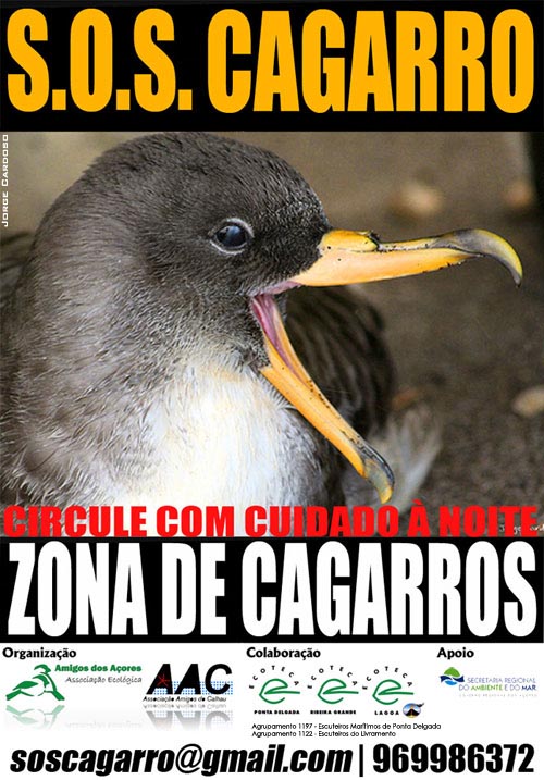 [SOS+Cagarro.jpg]
