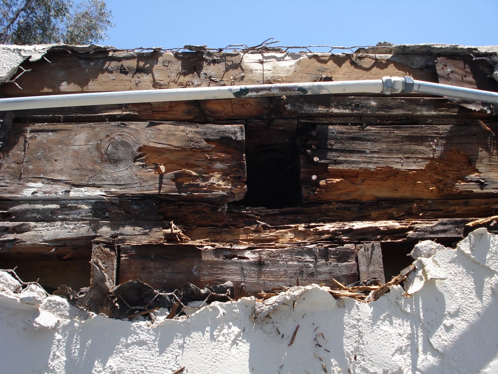 deFigarelli Construction / Building Maintenance inc. Termite & Dry Rot