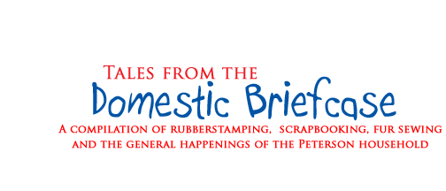 Tales from a Domestic Briefcase