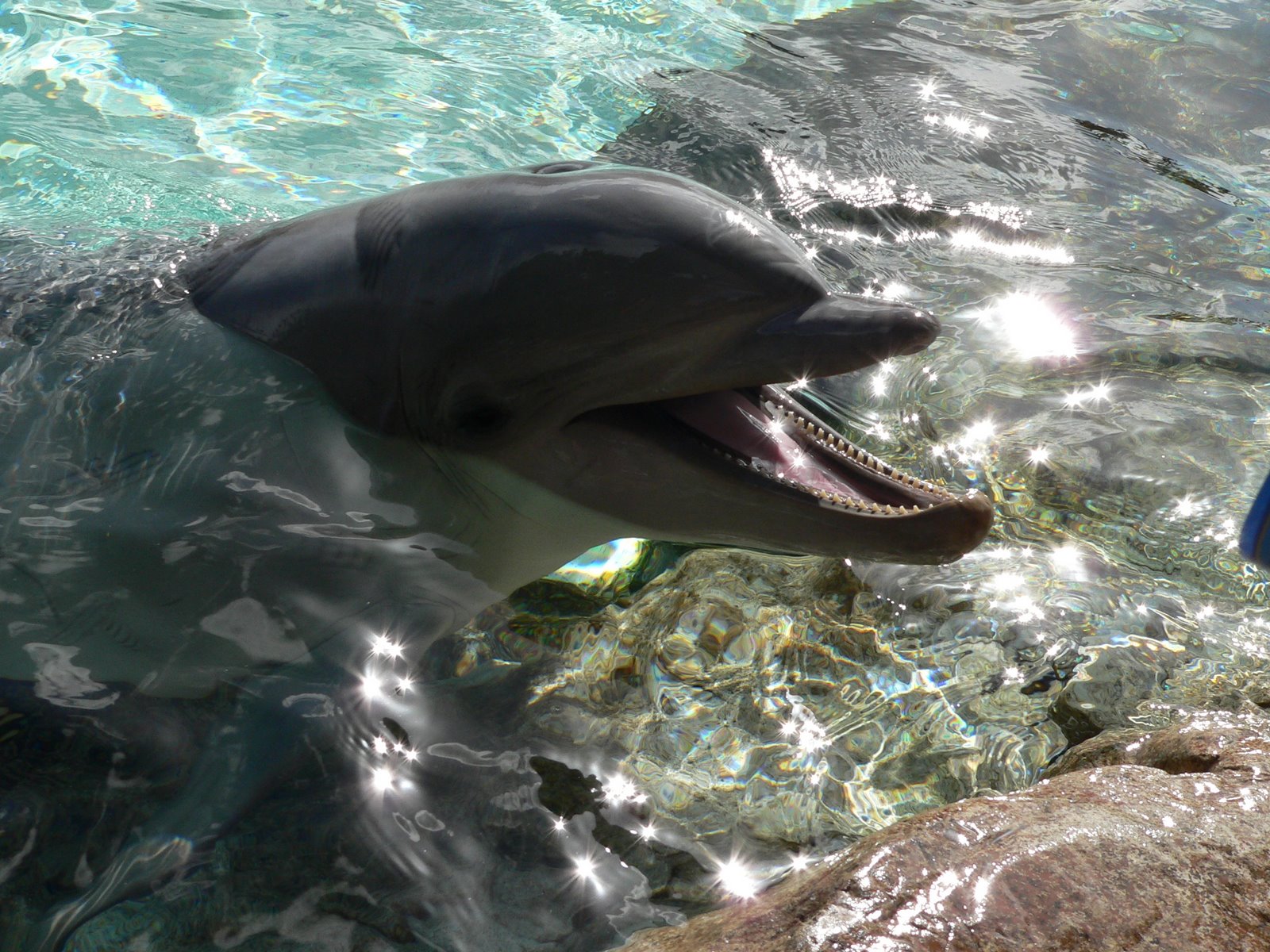 [SeaWorld+009.JPG]