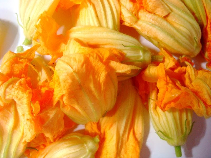 Beets and Bonbons Tempura Battered Squash Blossoms Stuffed with