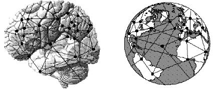 [cerebro+global.JPG]