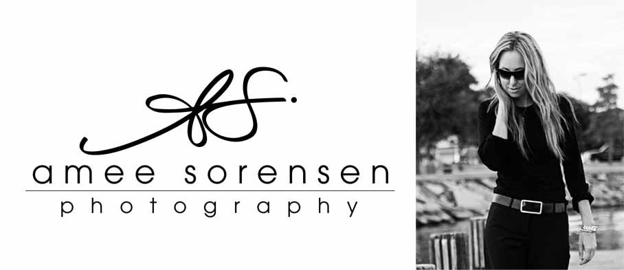 amee sorensen photography / the blog