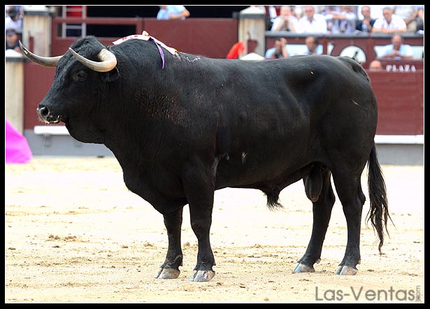 ENTRADA TORO FERIA ABRIL entrada toro feria abril: