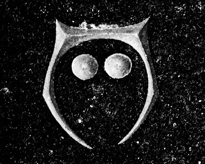 the blind owl