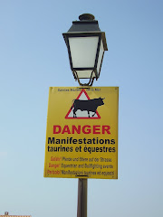 Beware of the taureau
