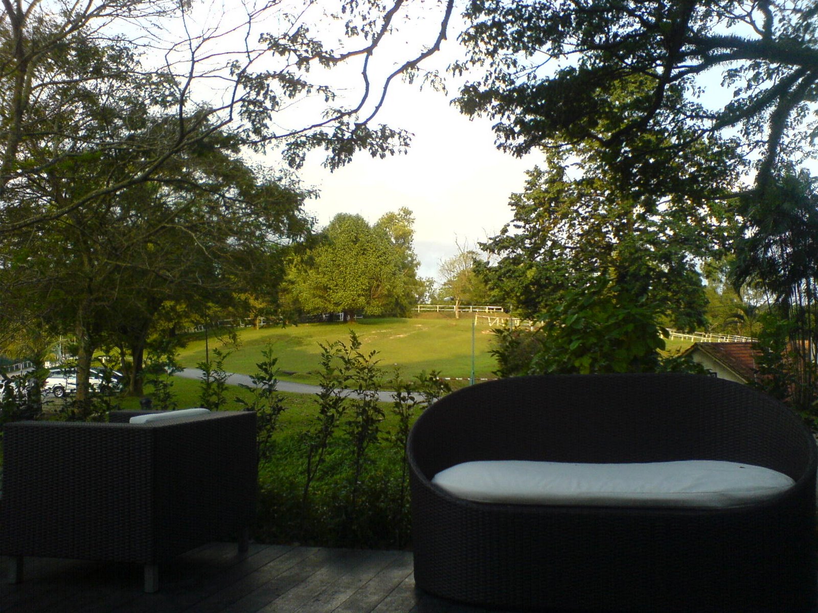 [DSC00191.JPG]