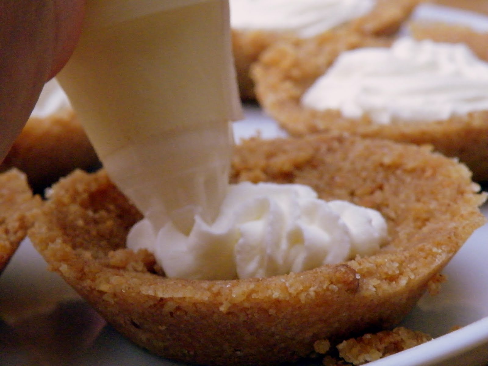 [2009_0825divers0329.JPG]