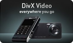 [divx-mobile-player.jpg]