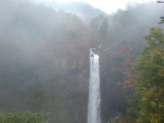 [DSC00691-716262.JPG]