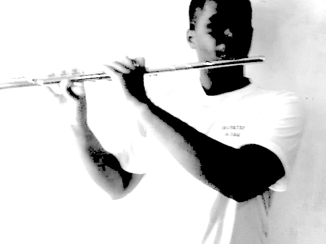 [Tocar-Flauta.jpg]
