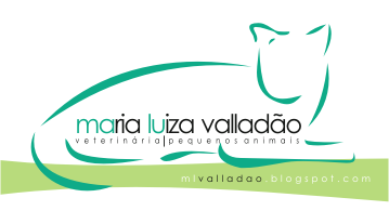 Médica Veterinária / Campinas