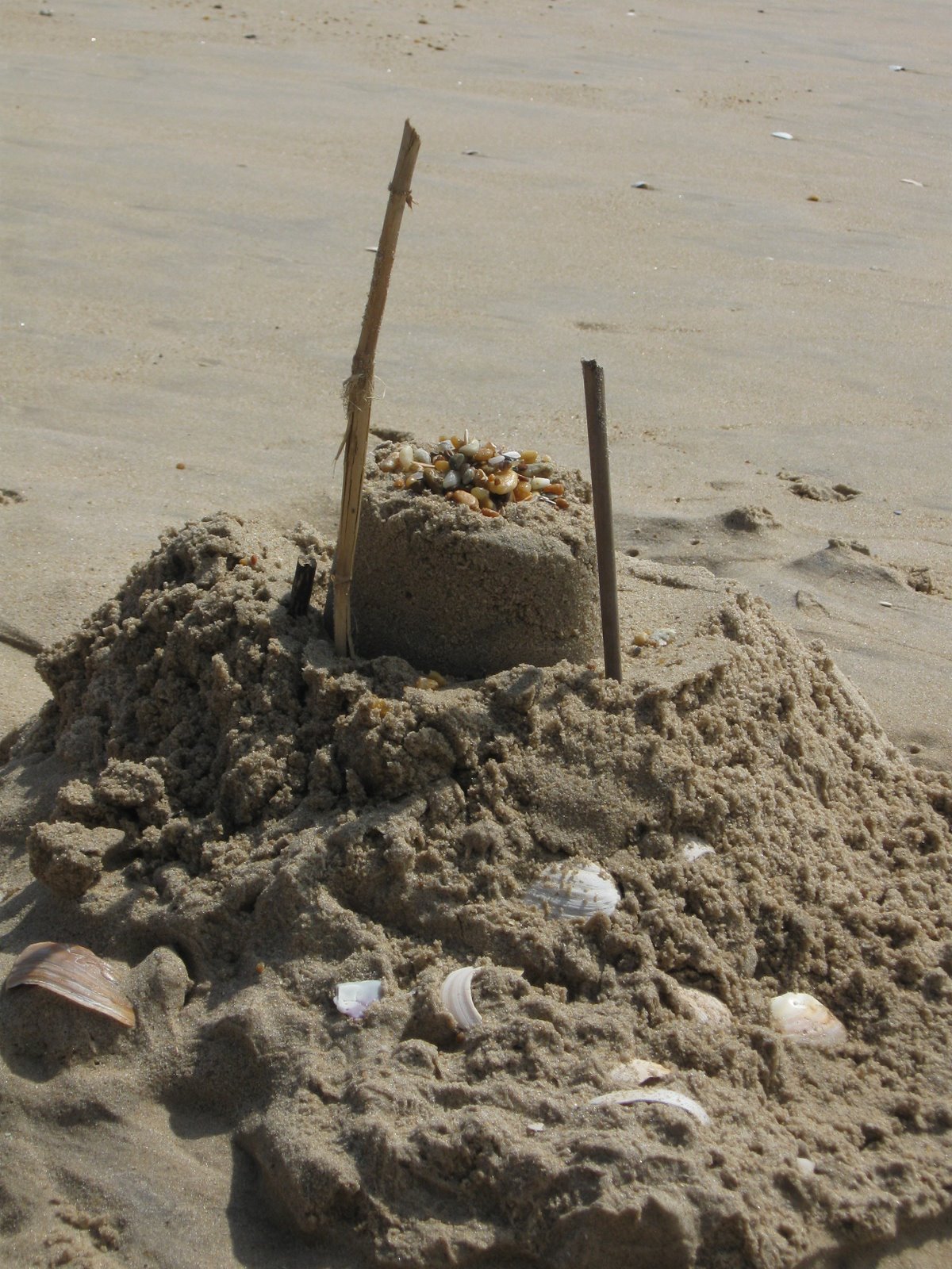 [IMG_2291.JPG]