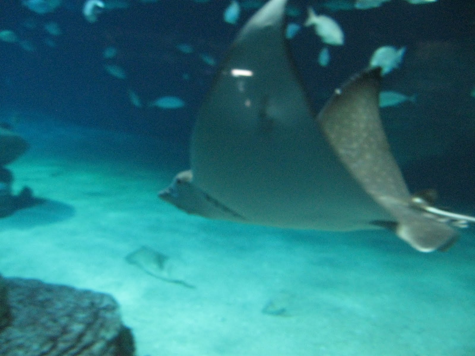 bar rencontre valence