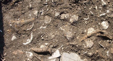 [NunneryDig06_web.jpg]