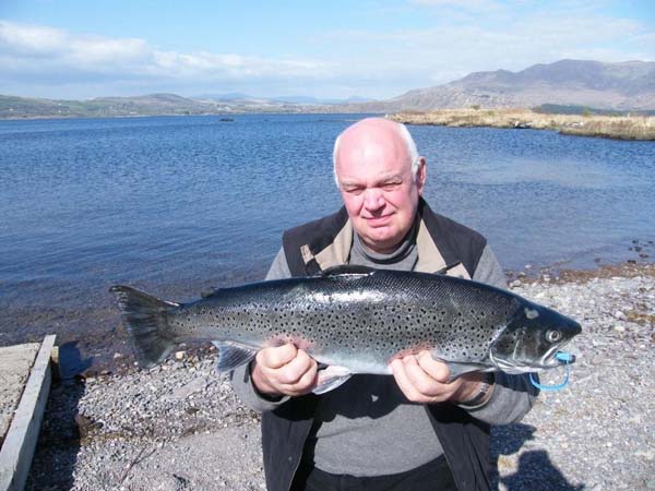 Axel Zurbugge prend la 2 plus grosse truite de mer de tout temps au Currane 11 1/2lbs