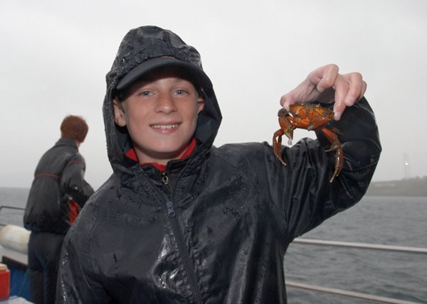 Pol, the great "green crab hunter" in great action
