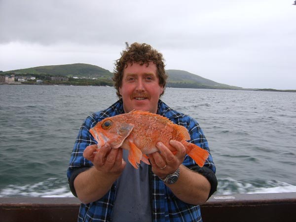 On a trip in Cahersiveen: Denis O'Shea with a great blue-mouth