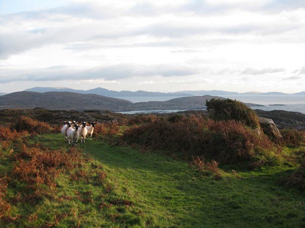 Zweschen Waterville an Caherdaniel (iwert d'Koppen geklotert)