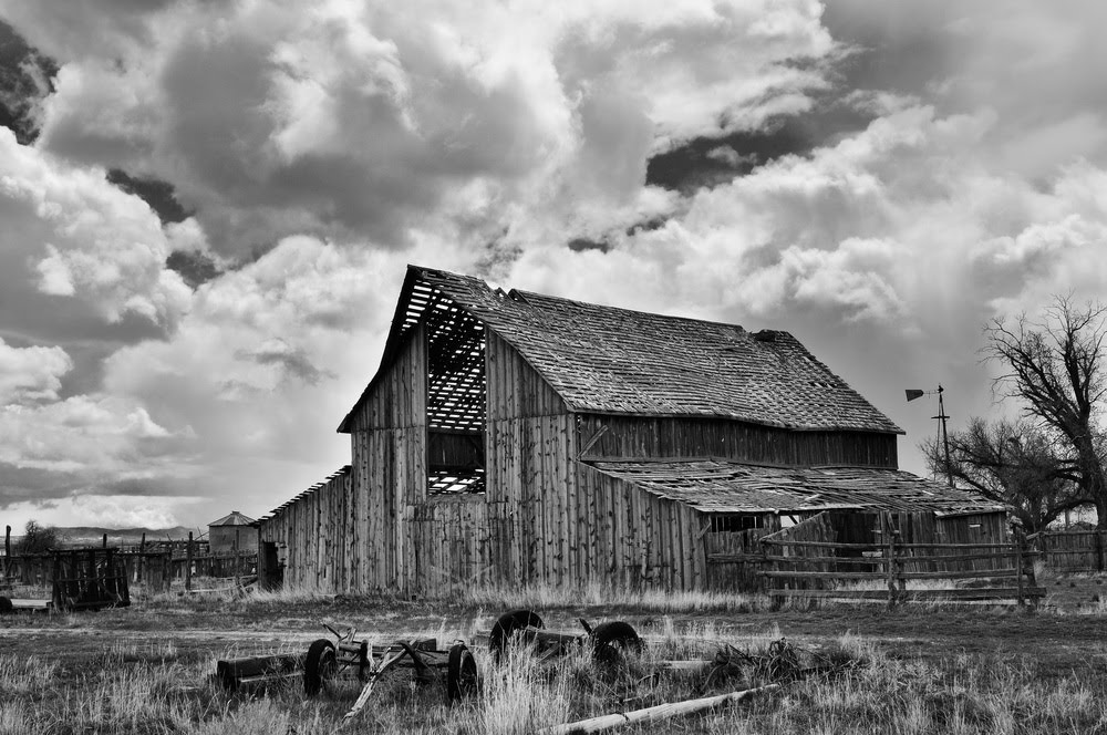 Photography of Lowell Harris August 2010