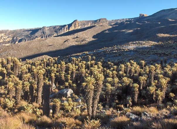 ECOLOGÍA Y SERES VIVOS