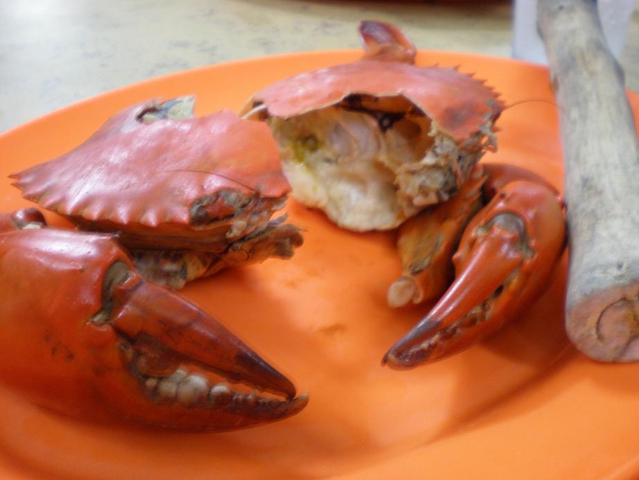 [crab.JPG]