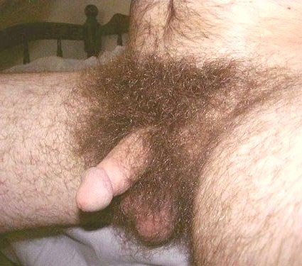 [wooly3.bmp]