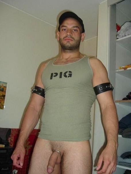 [pig.bmp]